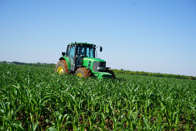 Agriculture in Orania